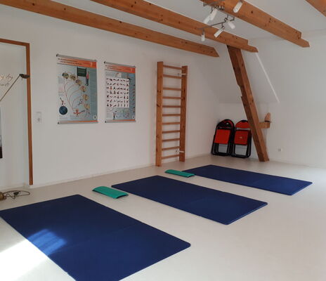 Ein weißgestrichener Raum mit drei Gymnastikmatten auf dem Boden. An der Wand sind zwei Feldenkrais-Poster und daneben eine Sprossenwand.